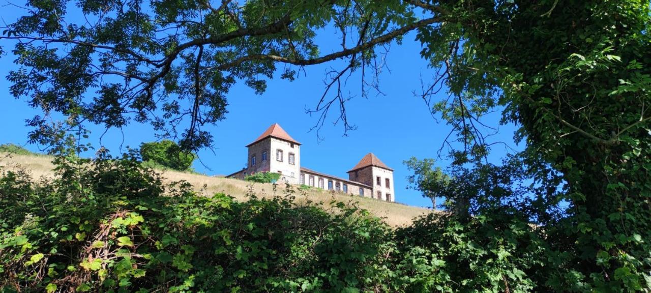 Chateau De Gorze Germolles-sur-Grosne Buitenkant foto